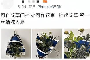 必威手机网页版官网入口截图4